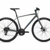 Giant Escape 2 Disc 2021 Bike