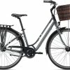 Liv Flourish 1 Womens Bike