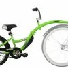 WeeRide Co Pilot Tagalong Trailer Bike