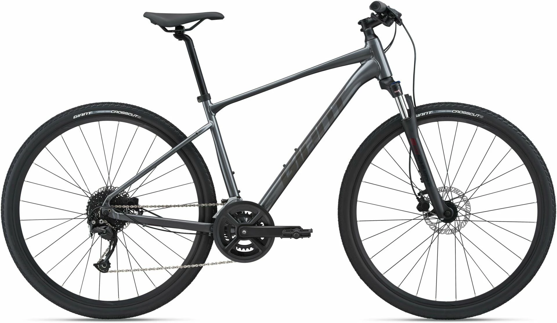 Giant Roam Disc 2 2022 Bike