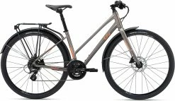 Liv Alight Disc 2 City 2022 Womens Bike