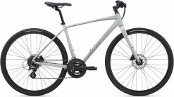 Giant Escape Disc 2 2022 Bike