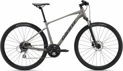 Giant Roam Disc 3 2022 Bike